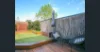 4/391 Dandenong Road, Armadale, Vic 3143-Image