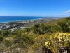 4/4 Wales Court, Mount Coolum, Qld 4573-Image