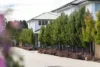 4/57 Throsby Street, Moss Vale, NSW 2577-Image
