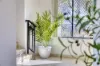 4/6 Morton Street, Parramatta, NSW 2150-Image