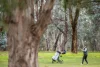 4/77 Britten-Jones Drive, Holt, ACT 2615-Image