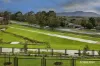 4 Bolger Walk, Lilydale, Vic 3140-Image