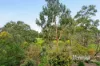 4 Herbert Street, Pascoe Vale, Vic 3044-Image