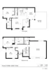 43 Filly Street, St Clair, SA 5011-Floorplan