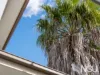 45/116 Albert Street, Goodna, Qld 4300-Image