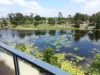 45 Parnell Boulevard, Robina, Qld 4226-Image