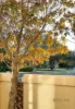 450 St Kilda Street, Brighton, Vic 3186-Image