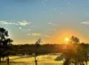 49 Cordhill Circuit, Aintree, Vic 3336-Image