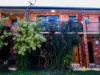 5/14 Jensen Street, Manoora, Qld 4870-Image