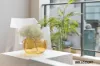 5/28 Banksia Terrace, South Perth, WA 6151-Image