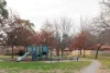 5/29 Popplewell Place, Gordon, ACT 2906-Image