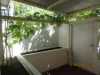 5/324 Stirling, Highgate, WA 6003-Image