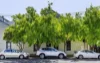 5/58 Victoria Street, Beaconsfield, NSW 2015-Image