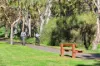 5 Morven Court, Highton, Vic 3216-Image