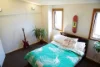 5 Water Street, Annandale, NSW 2038-Image