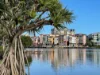 50/2 Town Centre Close, Carrara, Qld 4211-Image