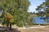 500 Wendouree Parade, Lake Wendouree, Vic 3350-Image