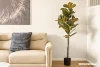 51 Ashwini Glade, Box Hill, NSW 2765-Image