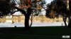 51 Dotterel Drive, Semaphore Park, SA 5019-Image