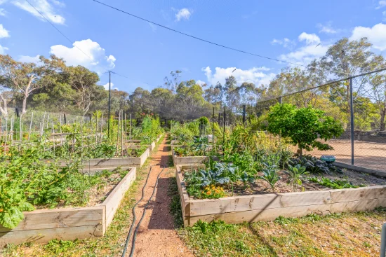 54 Wybalena Grove, Cook, ACT 2614-Image