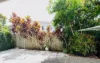55/88 Shelduck Place, Calamvale, Qld 4116-Image