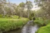 5c Alexander Lane, Marden, SA 5070-Image