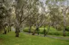 5c Alexander Lane, Marden, SA 5070-Image