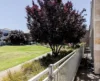 6/13 Horsley Drive, Kidman Park, SA 5025-Image