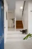 6/20 Patrick Street, Norman Park, Qld 4170-Image