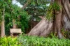 6/20 Patrick Street, Norman Park, Qld 4170-Image
