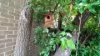 6/21 Jessup Place, Phillip, ACT 2606-Image