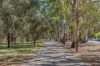 6/373 South Terrace, Adelaide, SA 5000-Image