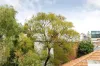 6 Strode Place, Richmond, Vic 3121-Image