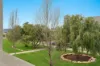 6 Wodli Street, Lightsview, SA 5085-Image