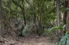 60/623 Albany Creek Road, Albany Creek, Qld 4035-Image