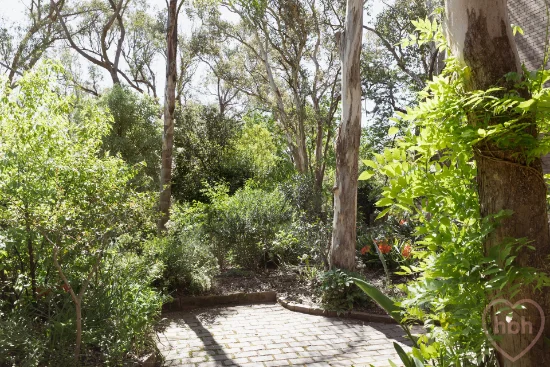62 Wybalena Grove, Cook, ACT 2614-Image