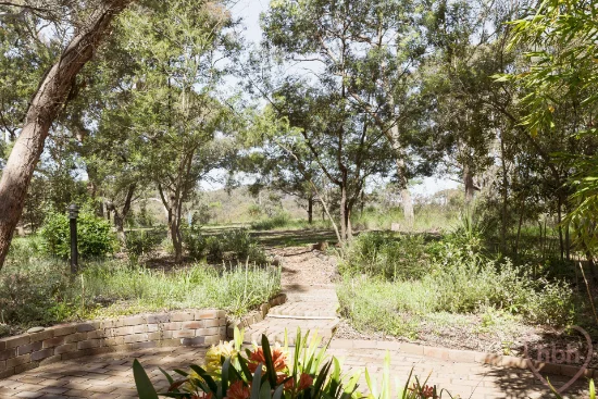 62 Wybalena Grove, Cook, ACT 2614-Image