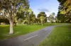 6a Thorburn Street, Hampton, Vic 3188-Image