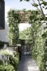 7/16 Boston Road, Balwyn, Vic 3103-Image