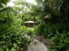 7/21 Shute Harbour Road, Cannonvale QLD 4802-Image