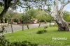 7/31 Loxton Terrace, Epping, Vic 3076-Image