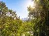 7/4 Fleay Court, Burleigh Heads, Qld 4220-Image