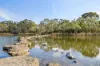7 Basil Street, Newport, Vic 3015-Image