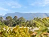704/22-34 Glenside Drive, Robina, Qld 4226-Image