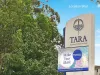 8/30 Marshall Road, Telopea, NSW 2117-Image