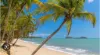 8/5-7  Arlington Esplanade, Clifton Beach, Qld 4879-Image