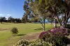 8 Pilot Place, Rippleside, Vic 3215-Image