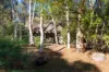 80 Wybalena Grove, Cook, ACT 2614-Image