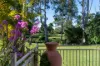 8145 Magnolia Drive West, Hope Island, Qld 4212-Image