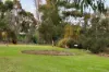 8A Forrest Court, Sandringham, Vic 3191-Image